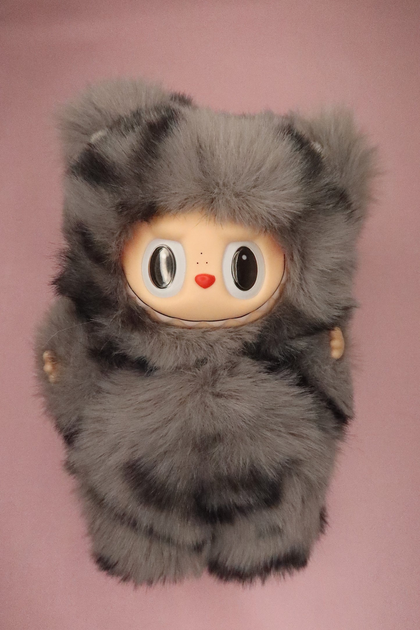 Little Grey Bear Bubu