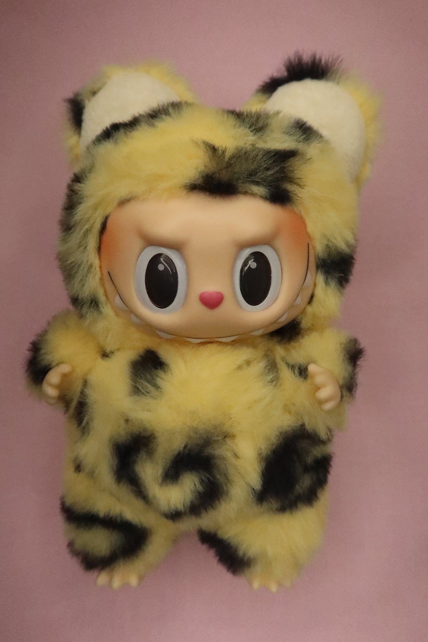 Munchkin Yellow Leopard Bubu