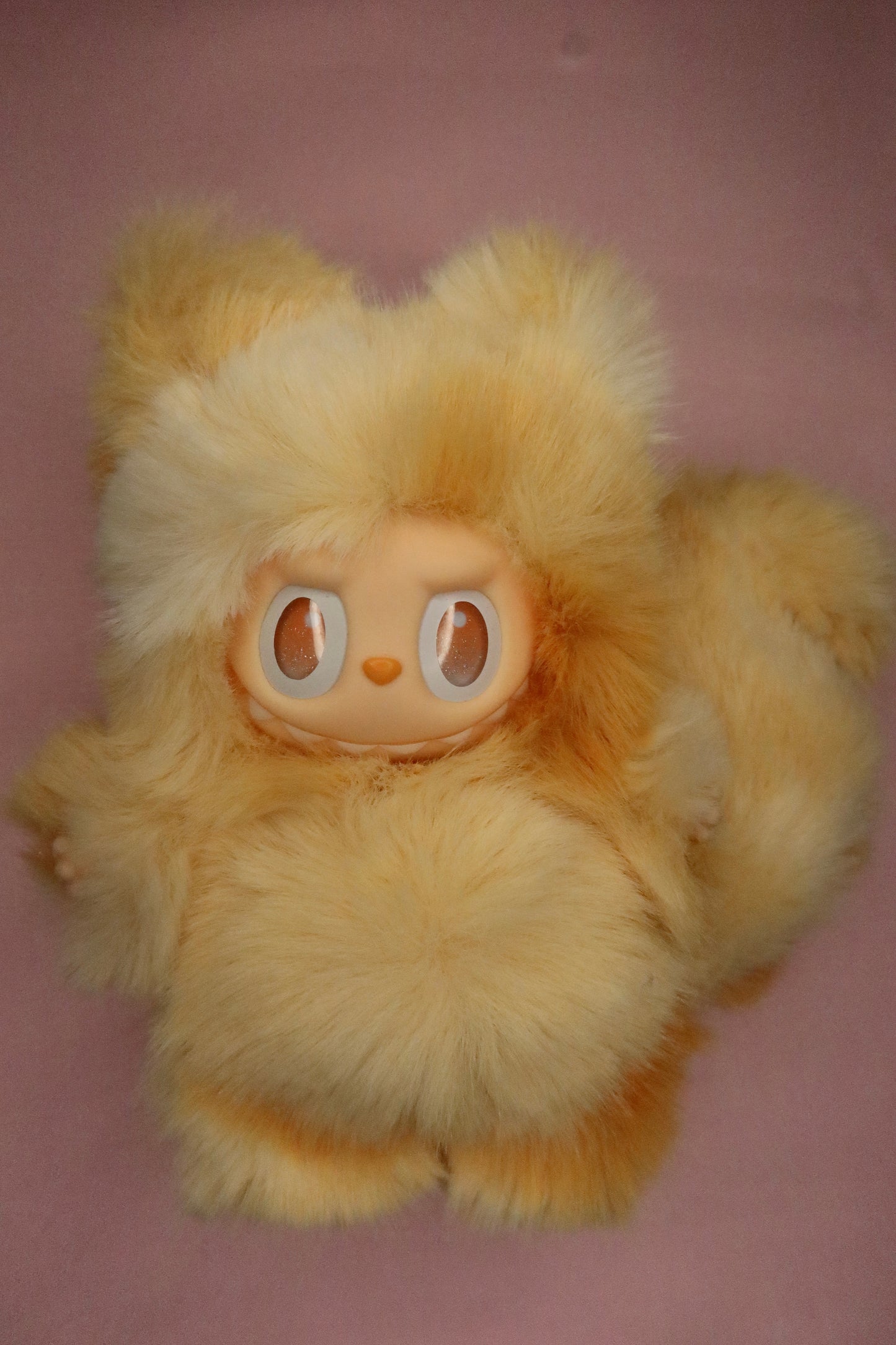 Golden Fox Bubu